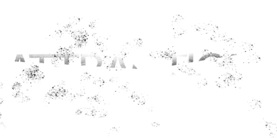 Attractions Attractions